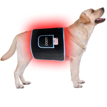 Обувки пренапрежение светлина уред за терапия на червено инфрачервена светлина светъл ФДТ, за да регулирате нивото на захар в кръвта зарастване на рани кон котка куче светъл солариум